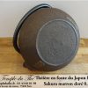 Théière en fonte du Japon Sakura marron doré 0.55 L – Image 2