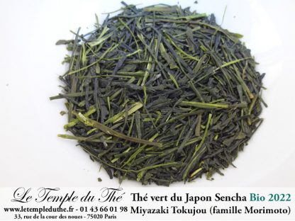 Thé vert du Japon Miyazaki Tokujou première récolte printemps 2022 petits producteurs BIO