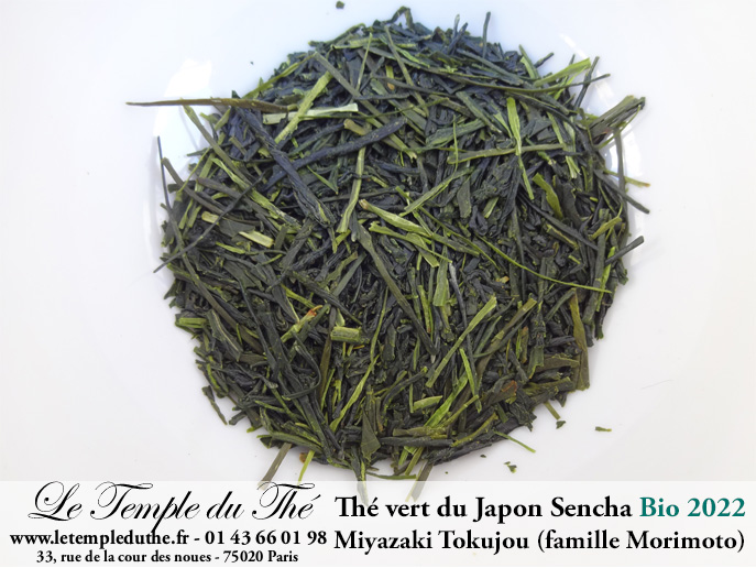 Thé vert du Japon Miyazaki Tokujou première récolte printemps 2022 petits producteurs BIO