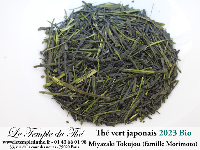 Thé vert du Japon Miyazaki Tokujou première récolte printemps 2023 petits producteurs BIO