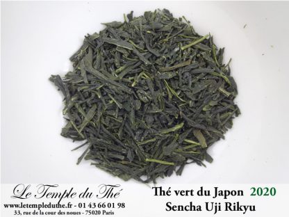 Thé du Japon petits producteurs Sencha Uji RIKYU printemps 2020