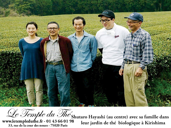 Thé du Japon de Kirishima Houjicha thé grillé BIO petits producteurs – Image 4