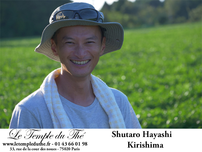 Thé du Japon de Kirishima Houjicha thé grillé BIO petits producteurs – Image 3