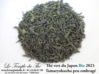 Thé du Japon BIO Tamaryokucha ombragé Printemps 2021 de Miyazaki , Gokase