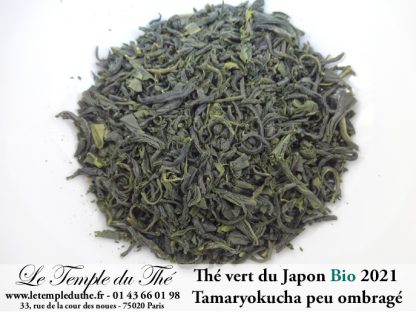 Thé du Japon BIO Tamaryokucha ombragé Printemps 2021 de Miyazaki , Gokase