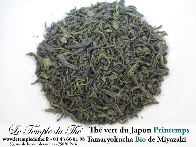Thé du Japon BIO Tamaryokucha ombragé Printemps 2025 de Miyazaki , Gokase
