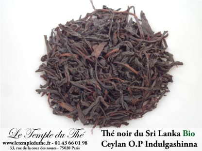 Thé noir du Sri Lanka Ceylan