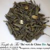 Thé vert de Chine aux agrumes BIO – Image 4