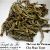 Thé vert du Vietnam BIO Che Shan Tuyet printemps 2024 – Image 2