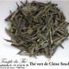 Thé vert de Chine Sencha BIO Zhejiang Deqing (façon japonaise)