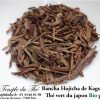 Thé vert du Japon Kagoshima Bancha Hojicha Bio