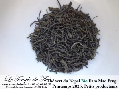 Thé vert du Népal de petits producteurs BIO ILAM MAO FENG 1ère récolte du printemps 2025