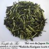 Thé vert BIO du Japon Kukicha Karigane 2024