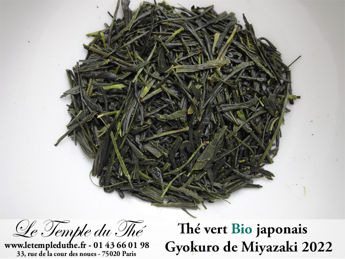 Thé vert Japonais de printemps Gyokuro de Miyazaki 2022 bio