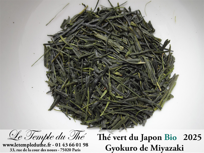 Thé vert Japonais de printemps Gyokuro de Miyazaki 2025 bio Thé vert Japonais de printemps Gyokuro de Miyazaki 2025 bio