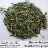 Thé du Japon Kukicha Printemps 2024 petits producteurs – Image 2