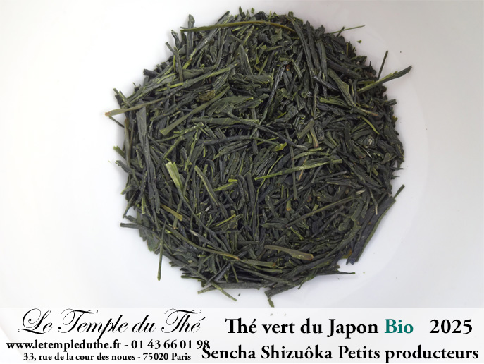 Thé du Japon Sencha Shizuôka printemps 2025