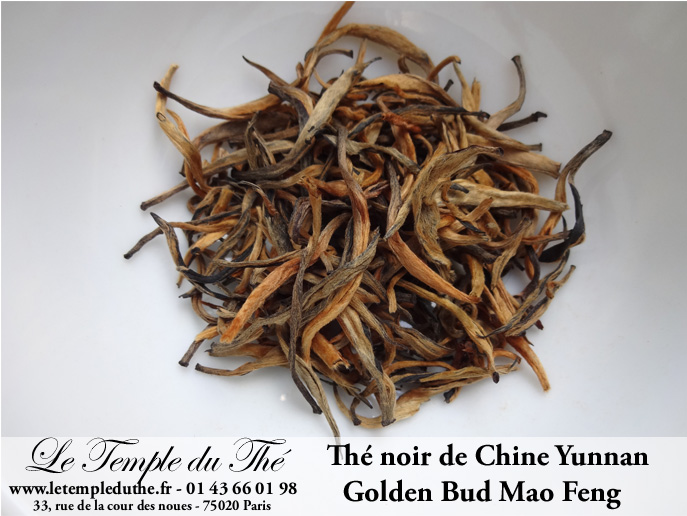 Thé noir de Chine printemps Yunnan Golden Bud Mao Feng T.G.F.O.P