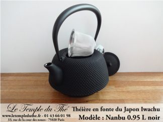 Théière en fonte du Japon IWACHU modèle Nanbu Arare noir 0.95 L