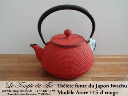 Théière en fonte du Japon