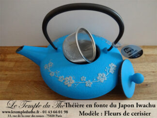 THEIERES IWACHU EN FONTE DU JAPON à PARIS