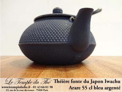 Théière Arare IWACHU Japon 0.55 L bleu argenté