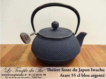 Théière Arare IWACHU Japon 0.55 L bleu argenté