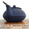 Théière Arare IWACHU Japon 0.55 L bleu – Image 4