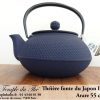 Théière Arare IWACHU Japon 0.55 L bleu – Image 5