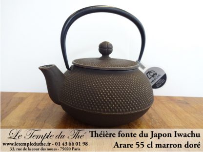 Théière IWACHU ARARE Théière fonte japonaise 0.55 L marron doré