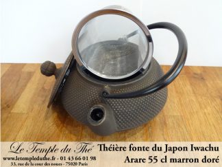 Théière fonte japonaise