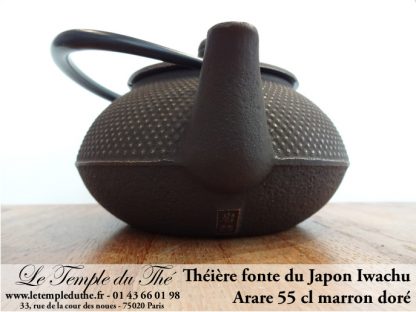 Théière IWACHU ARARE Théière fonte japonaise 0.55 L marron doré