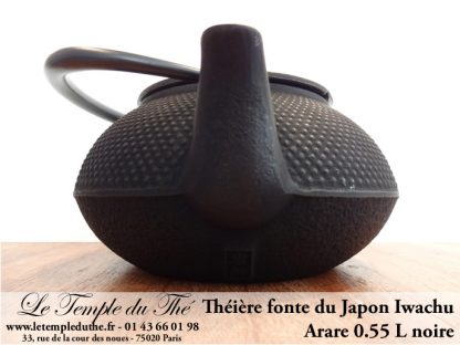 Théière Arare IWACHU Japon 0.55 L noire