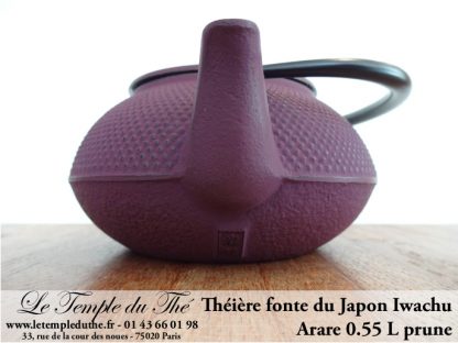 Théière Arare IWACHU Japon 0.55 L prune à Paris