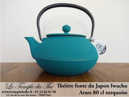 Théière en fonte du Japon turquoise (0.8L)