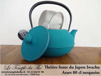 Théière en fonte du Japon turquoise (0.8L)