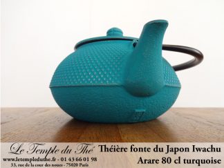 Théière en fonte du Japon