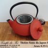 Théière Japon Iwachu