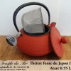 Théière fonte Iwachu