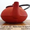 Boutique théière Iwachu Arare