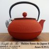 Théière Iwachu Arare 0.55L