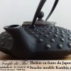 Theiere fonte japonaise noir