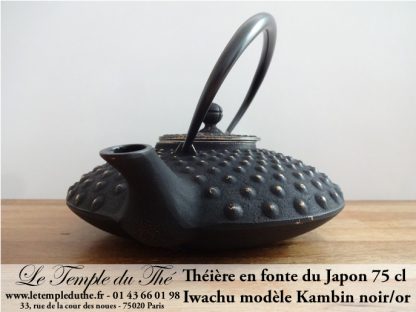 Théière en fonte du Japon IWACHU Kambin noir/or