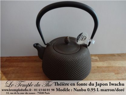 Théière en fonte du Japon Iwachu Arare Nanbu marron doré 0.95 L