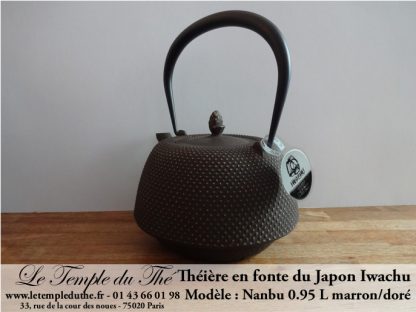 Théière en fonte du Japon Iwachu Arare Nanbu marron doré 0.95 L