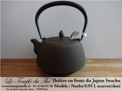 Théière en fonte du Japon Iwachu Arare Nanbu marron doré 0.95 L