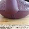 Théière IWACHU en fonte du Japon Sakura 55 cl prune – Image 4