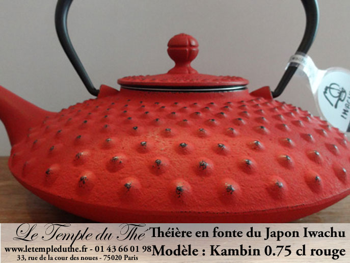 Théière en fonte japonaise Iwachu wa sakura 0.55 l noir