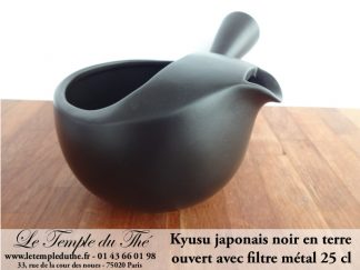 THEIERES DU JAPON KYUSU TOKONAME