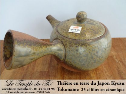 TOKONAME Kyusu du Japon Céramique 25 cl environ